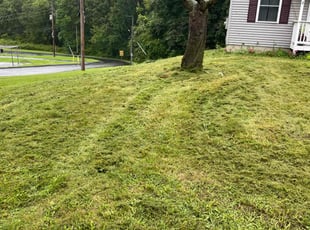 Adam W.'s Lawn Maintenance service result