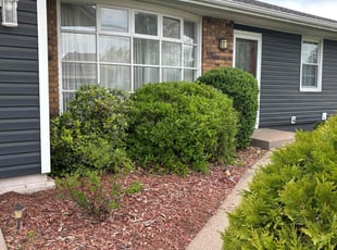 Bush Trimming by Dustin Spangler for Albert C. in Davenport, IA