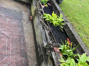 Weeding by Vincent Daniele for Sierra S. in Pittsburgh, PA