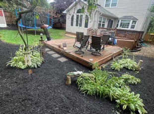Cleanups by Jairon Villagran for Katie G. in Silver Spring, MD