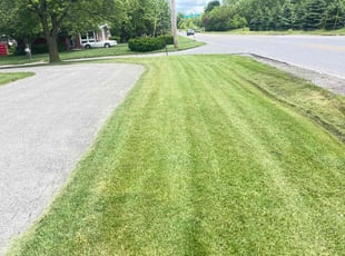 Brenda H.'s Lawn Care service result