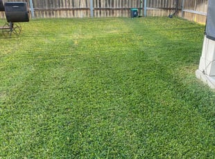 Sandra B.'s Lawn Mowing Service service result