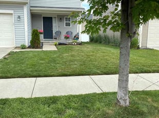 Octavia M.'s Lawn Mowing service result