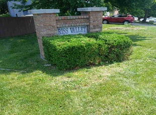 Bush Trimming by Brent Smith for Will D. in Kansas City, MO