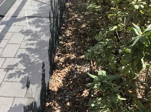Cleanups by Leeandra Terry for Ellis S. in Brandon, FL