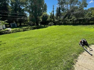 Sophia G.'s Lawn Mowing service result