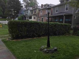 Bush Trimming by Joe Molinaro for Sarah M. in Coraopolis, PA