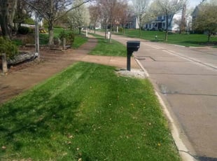 Tamara W.'s Grass Cutting service result