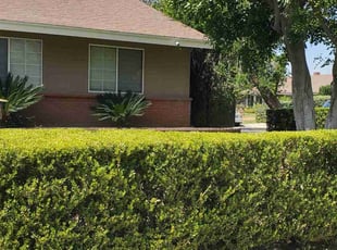 Bush Trimming by Antonio Ruiz for Joseph R. in Rialto, CA