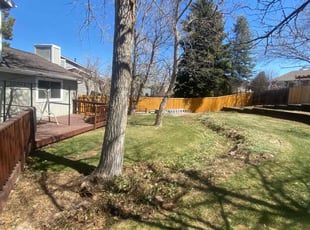 Leaf Removal by Connor Andrew for John B. in Littleton, CO