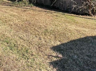 Leaf Removal by Carlos Alba for Colette S. in Falls Church, VA