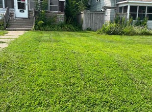 "Chandra V.'s Yard Cutting service result