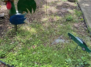 Mulching by Luiz Gosling De Oliveira for Lynn M. in Laurel, MD