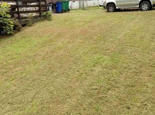 Leaf Removal by Lionel Lee for Taylor T. in Stone Mountain, GA