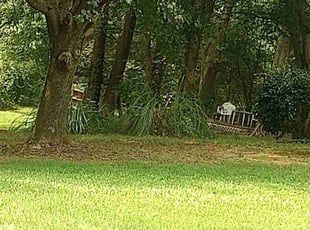 David M.'s Lawn Mowing service result