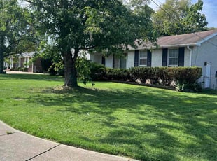 Mindy M.'s Lawn Care service result