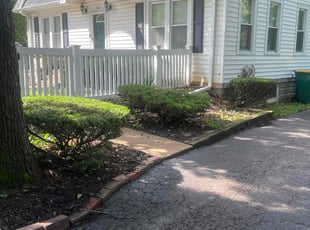 Bush Trimming by Eduardo Loza for Stephon P. in Joliet, IL