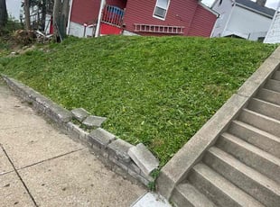 Michael D.'s Lawn Care service result