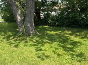 Ken A.'s Lawn Mowing Service service result