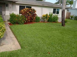 Frank B.'s Lawn Mowing service result
