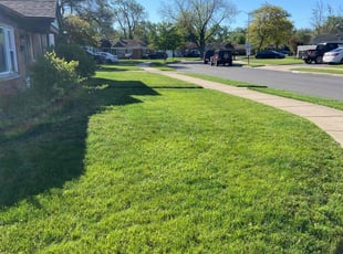 Ron B.'s Lawn Mowing service result