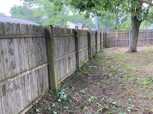 Bush Trimming by Dionte Cain for Juan P. in Severn, MD