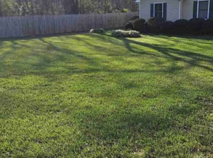 Angelena P.'s Lawn Service service result