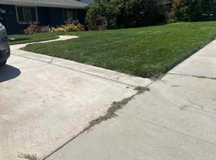Tammy C.'s Lawn Mowing service result