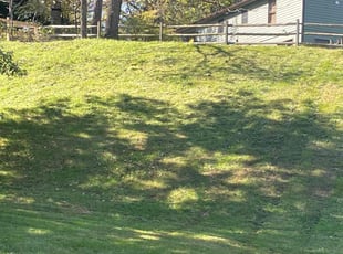 Umi T.'s Grass Cutting service result