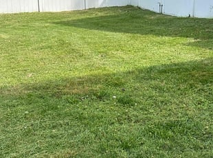 Suzanne Z.'s Lawn Care service result