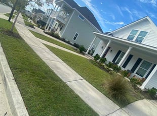 Audrey V.'s Lawn Care service result