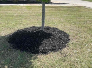 Mulching by Joshua Bowles for Risheshwar P. in Locust Grove, GA
