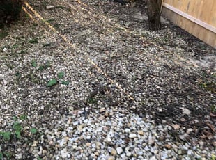 Leaf Removal by Cordell Fox for Nityananda B. in Park Forest, IL