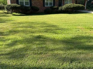Kenya J.'s Yard Cutting service result
