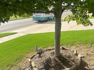 Weeding by Leray Thornton for Cynthia S. in Yukon, OK