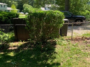 Bush Trimming by Jared Owens for Jody M. in Carmel, IN