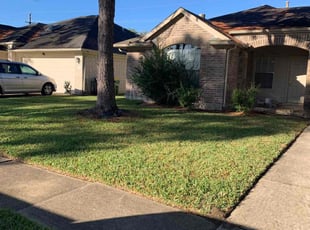 Heather T.'s Yard Cutting service result