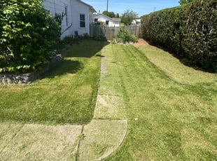 Frank T.'s Yard Cutting service result