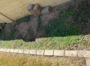 Cleanups by jimmy ruiz for Fangfang Z. in Gilbert, AZ