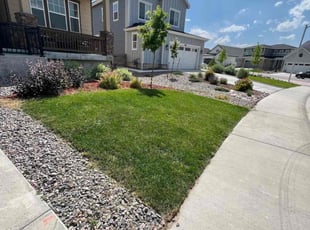 Aaron C.'s Lawn Service service result