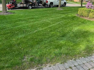 Walter E.'s Lawn Care service result