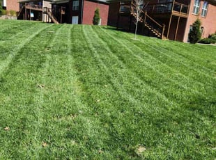 Jaquenette P.'s Lawn Care service result