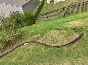 Weeding by Amanda Carter for Tierra L. in Clayton, NC
