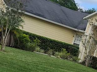 Bush Trimming by Nicholas Faust for Meera P. in Orlando, FL
