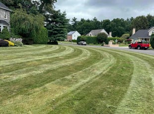 Johnita I.'s Lawn Mowing service result