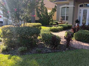 Bush Trimming by Christopher Zachrich for Iris A. in Fernandina Beach, FL