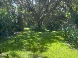Alex S.'s Lawn Care service result