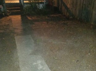 Leaf Removal by Warren Miller for Terry J. in Richmond, VA