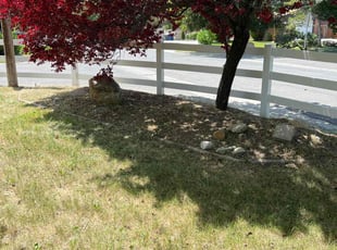 Cleanups by Shelveen Prakash for Oren P. in Salt Lake City, UT