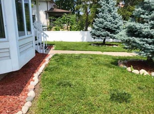 Deborah W.'s Lawn Mowing service result